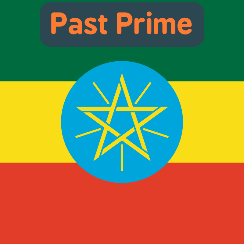 Past Prime Ethiopian Coffee